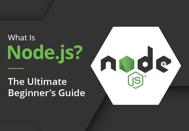 node.js beginner guide
